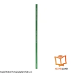 قیمت و خرید کتاب Super Minds 2 از کتاب لند - تصویر پنجم - تصویر شیرازه کتاب