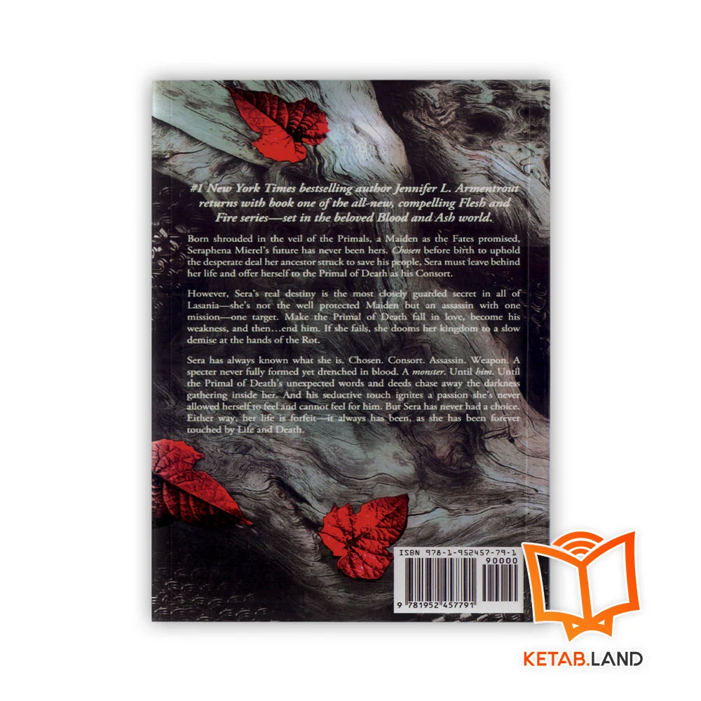 قیمت رمان A Shadow In The Ember