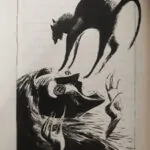 رمان Coraline 5 Coraline Book