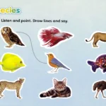 کتاب American Super Safari 3 9 صفحات کتاب سوپر سافاری سه یا کیفیتی عالی