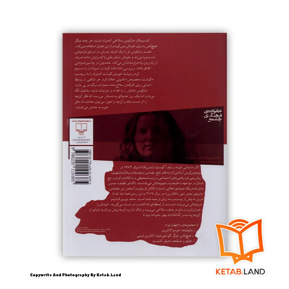 قیمت و خرید کتاب لاشه‌ی لطیف از کتاب لند - تصویر دوم - تصویر جلد پشت کتاب