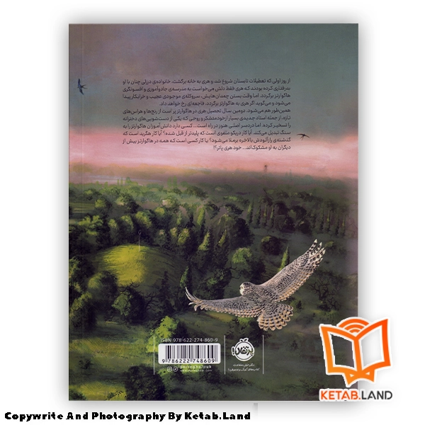 قیمت و خرید کتاب مصور هری پاتر و تالار اسرار 2 (تصویر سازی) - تصویر دوم - تصویر جلد پشت کتاب - جلد گالینگور