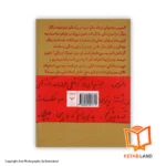 قیمت و خرید کتاب مثل خون در رگ های من - تصویر دوم - تصویر جلد پشت کتاب - جلد شومیز