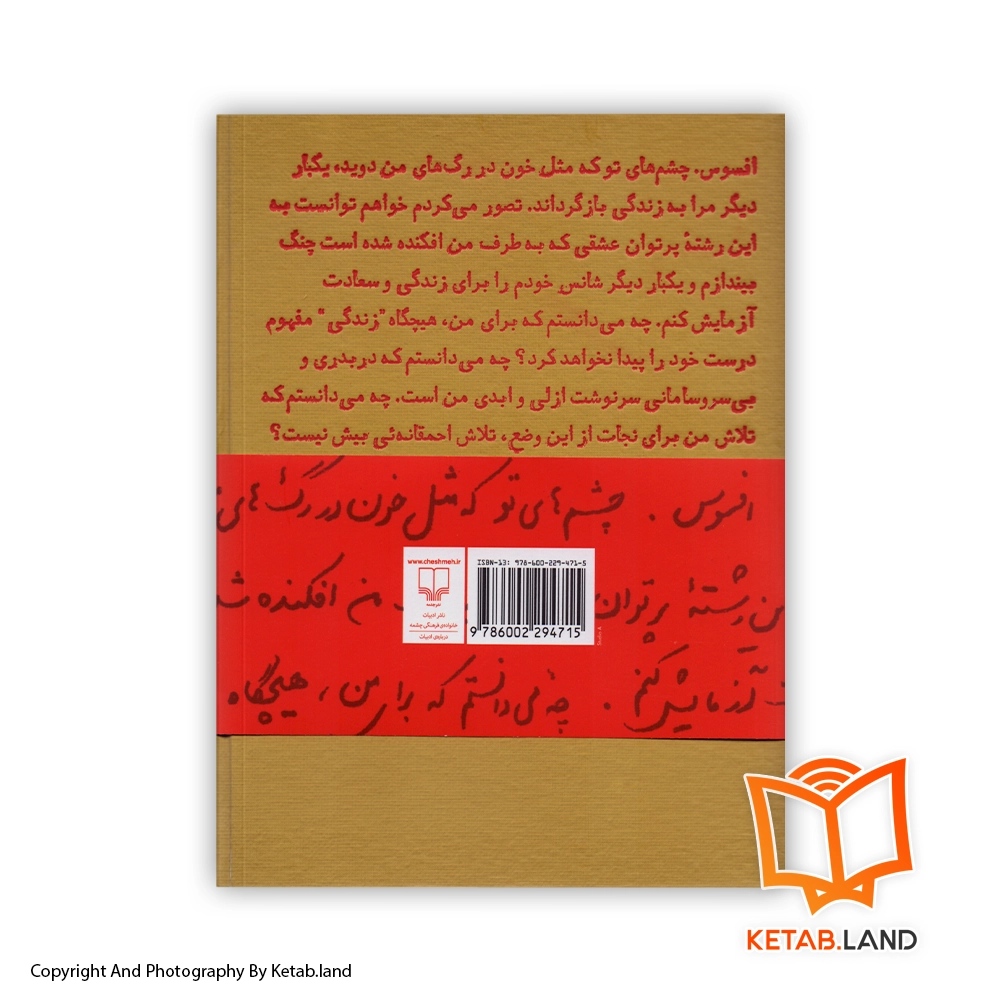 قیمت و خرید کتاب مثل خون در رگ های من - تصویر دوم - تصویر جلد پشت کتاب - جلد شومیز