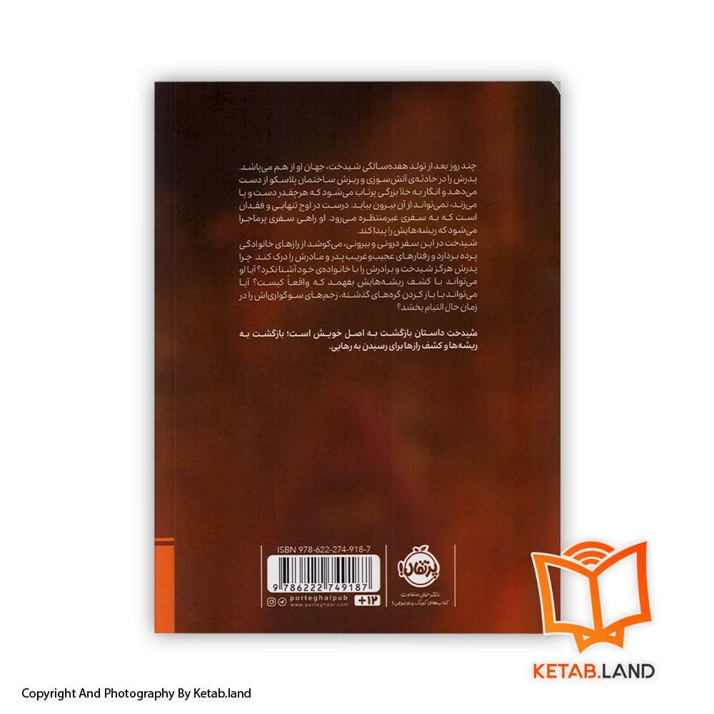 قیمت و خرید کتاب شیدخت از محدثه گودرزنیا- تصویر دوم - تصویر جلد پشت کتاب - جلد شومیز