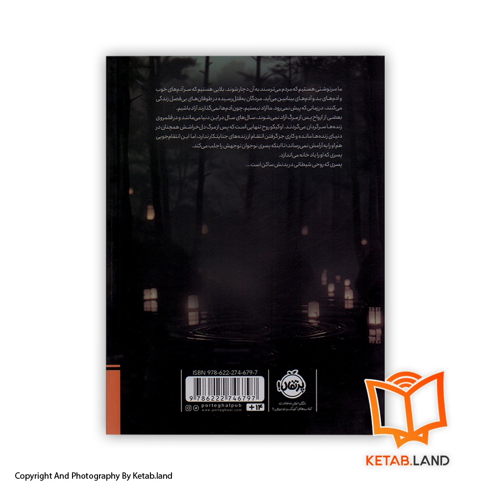 قیمت و خرید کتاب دختری در چاه اثر رین چوپکو - تصویر دوم - تصویر جلد پشت کتاب - جلد شومیز