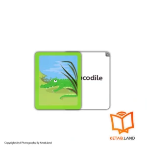 فلش کارت Super Minds 2 2nd 4 فلش کارت Super Minds 2 2nd - فلش کارت Super Minds 2 2nd - کتاب لند