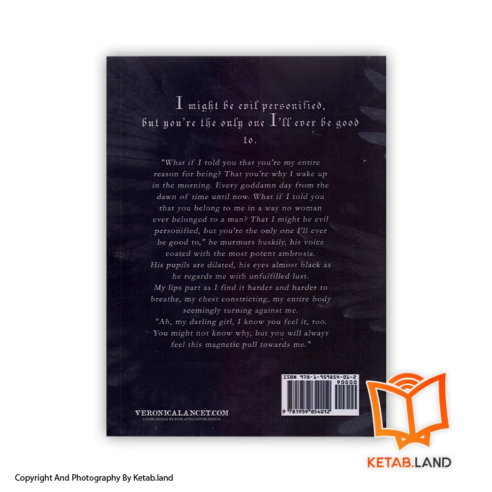 قیمت و خرید رمان Fairydale - تصویر دوم - تصویر جلد پشت کتاب - جلد شومیز