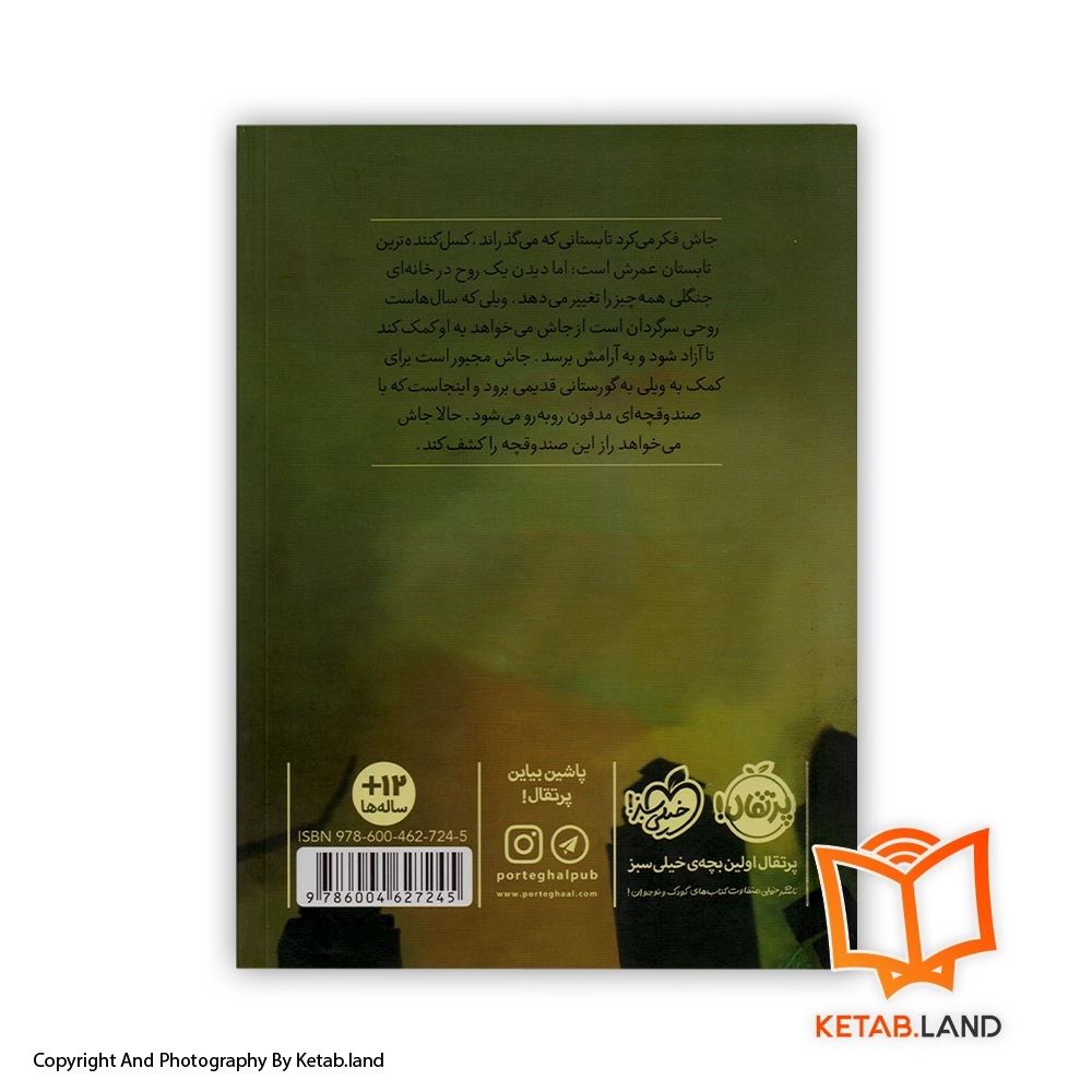 قیمت و خرید کتاب صندوقچه مدفون از پگ کرت- تصویر دوم - تصویر جلد پشت کتاب - جلد شومیز